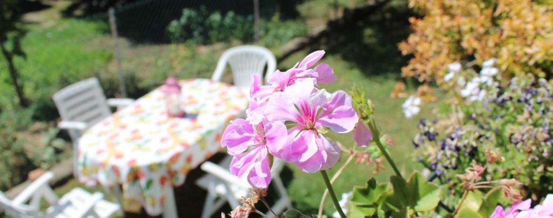 B&B Via Roma Чезате Экстерьер фото